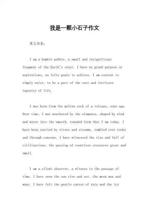 我是一颗小石子作文