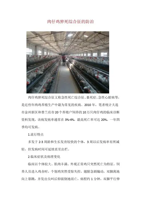 肉仔鸡猝死综合征的防治