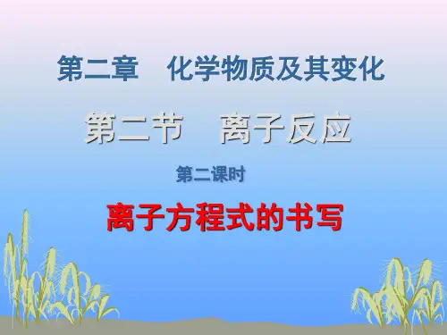 人教版化学《离子反应》精美课件1