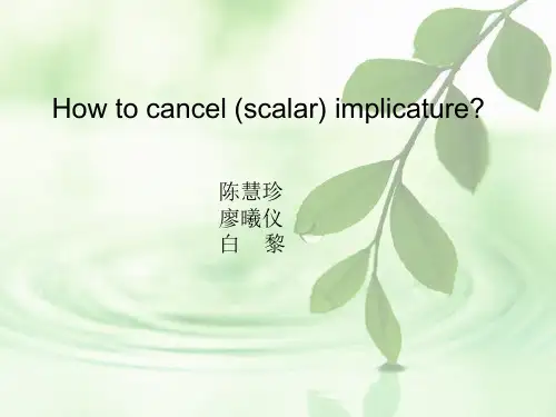 语用学ppt..