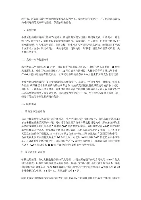 番茄黄化曲叶病毒病的发生与预防措施