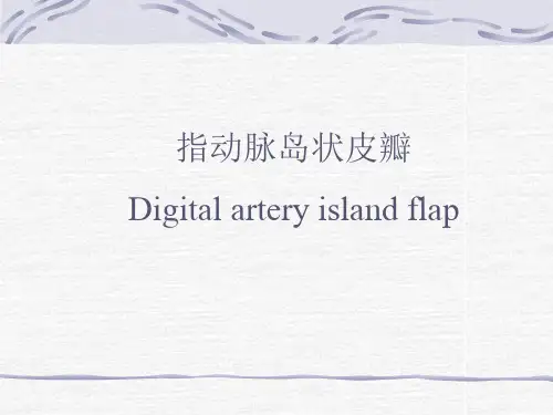 指动脉岛状皮瓣讲义