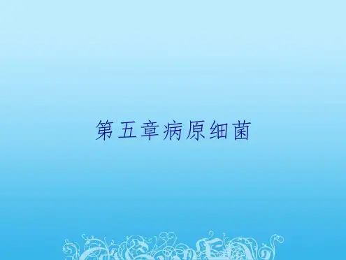 第五章病原细菌