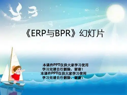 《ERP与BPR》幻灯片