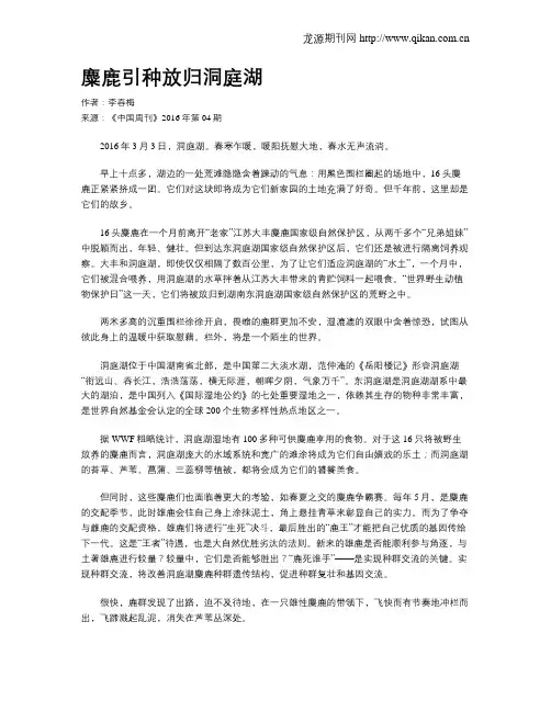 麋鹿引种放归洞庭湖