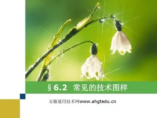 第二节 常见的技术图样 (二)