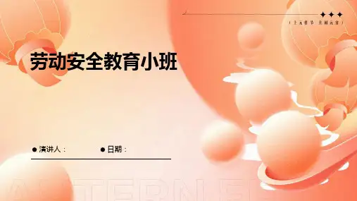劳动安全教育小班