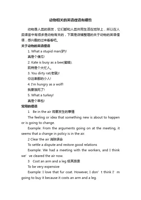 动物相关的英语俚语有哪些