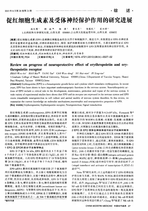 促红细胞生成素及受体神经保护作用的研究进展