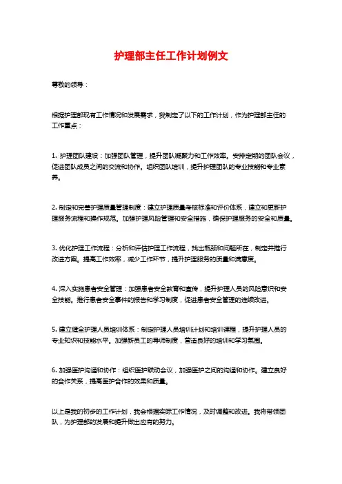 护理部主任工作计划例文