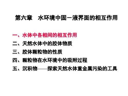 6环境化学-水环境中固-液界面的相互作用1(王晓蓉)