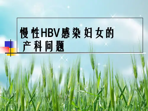 慢性hbv感染妇女母婴阻断问题幻灯片PPT