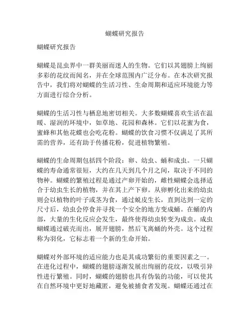 蝴蝶研究报告