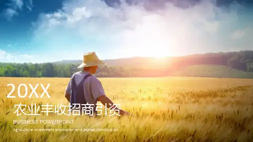 农业行业PPT模板合集(精选4套)