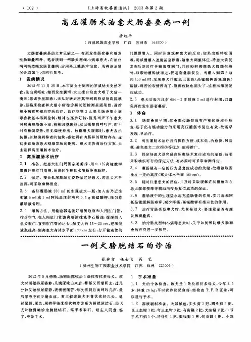 一例犬膀胱结石的诊治
