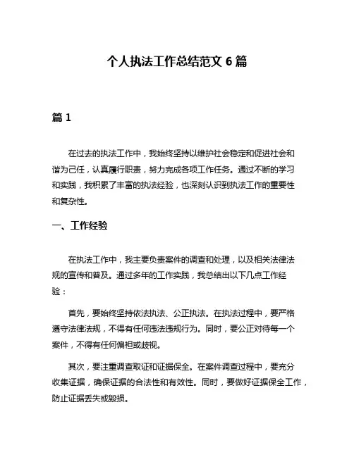 个人执法工作总结范文6篇