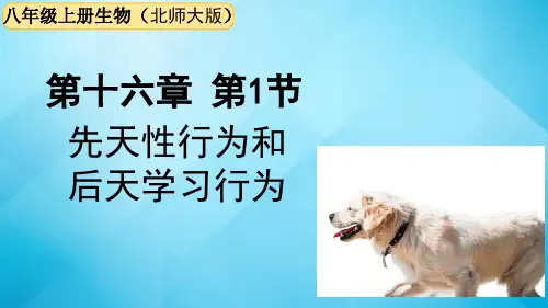 北师大版生物八年级上册--第16章-动物的行为