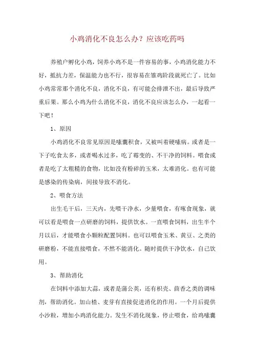 小鸡消化不良怎么办？应该吃药吗