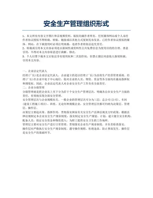 安全生产管理组织形式.docx