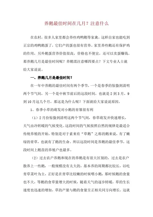 养鹅最佳时间在几月？注意什么