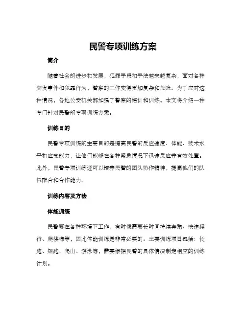 民警专项训练方案