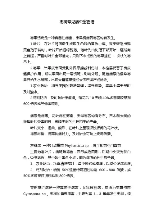 枣树常见病虫害图谱