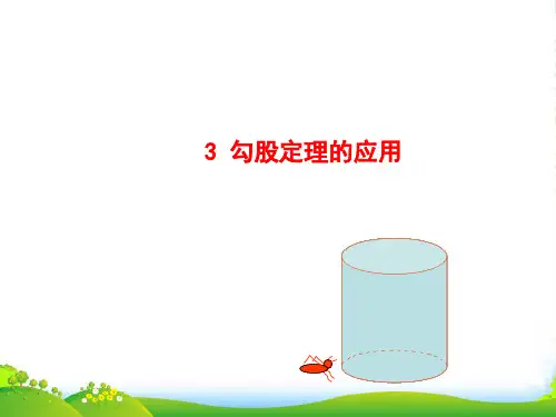 北师大版八年级数学上册《勾股定理的应用》课件(24张PPT)