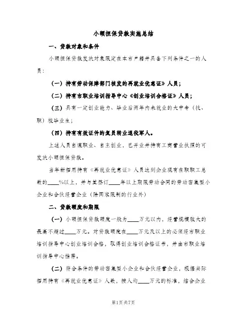 小额担保贷款实施总结（2篇）