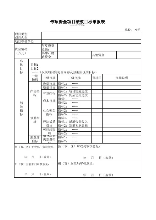 资金项目绩效目标申报表-模板