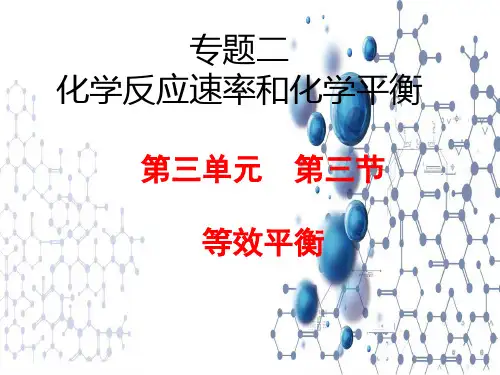 等效平衡讲解高中化学苏教版(2019)选择性必修一