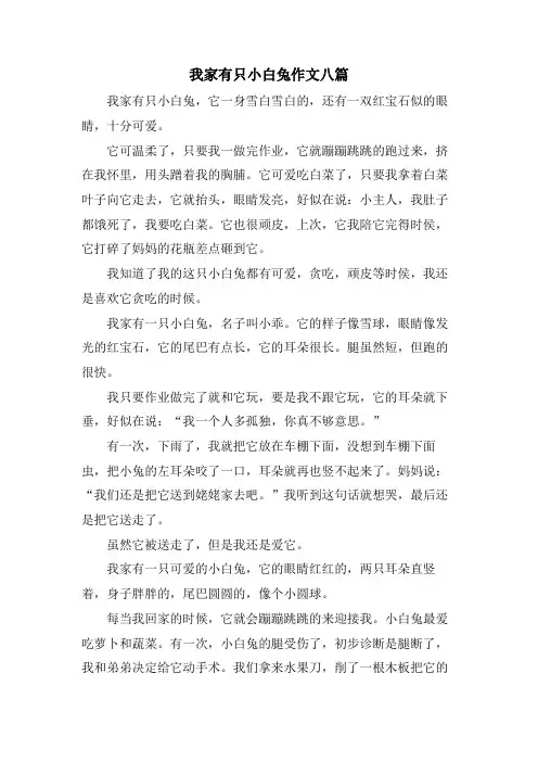 我家有只小白兔作文八篇