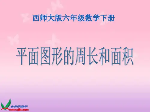 西师大版数学六年级下册《平面图形的周长和面积》课件