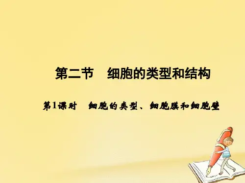 高一生物(苏教版必修1)课件：3.2.1《细胞的类型、细胞膜和细胞壁》