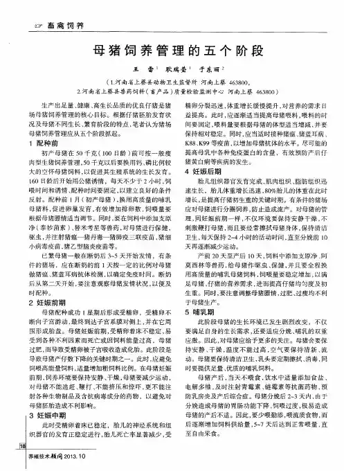 母猪饲养管理的五个阶段