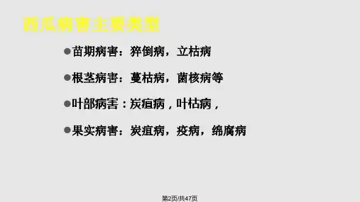 西瓜病虫害防治1.pptx