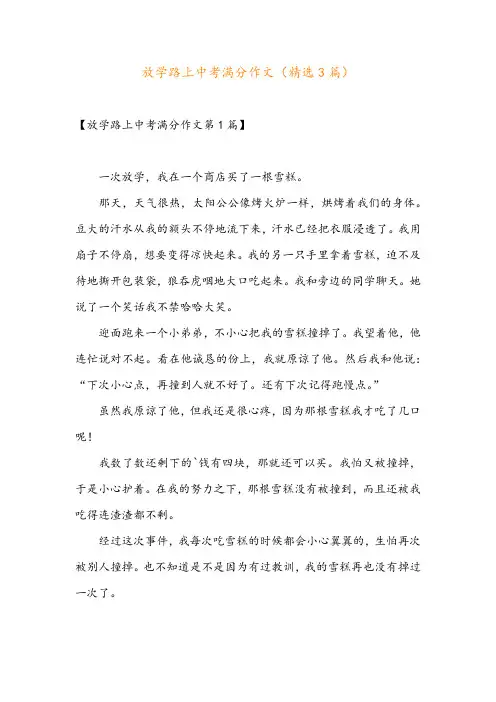 放学路上中考满分作文(精选3篇)