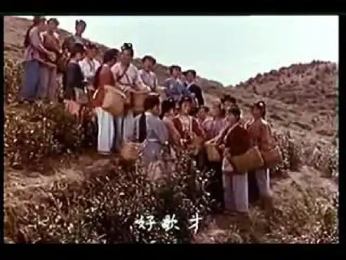 16云南的歌会优质课件公开观摩课