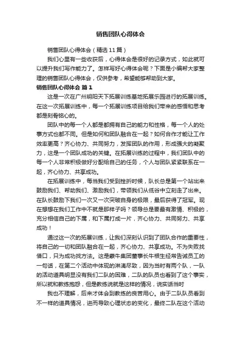 销售团队心得体会（精选11篇）