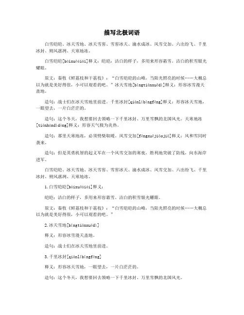 描写北极词语