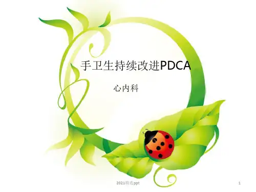 手卫生PDCAppt课件