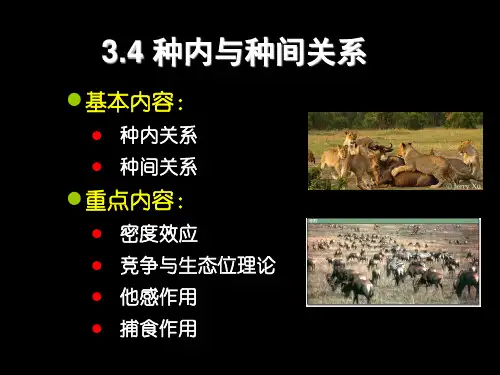 第3.3章种群生态学种内种间关系ppt课件