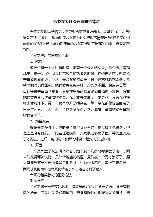 合欢花为什么会被叫苦情花