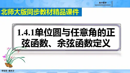 《单位圆与任意角的正弦函数、余弦函数定义》精品课件