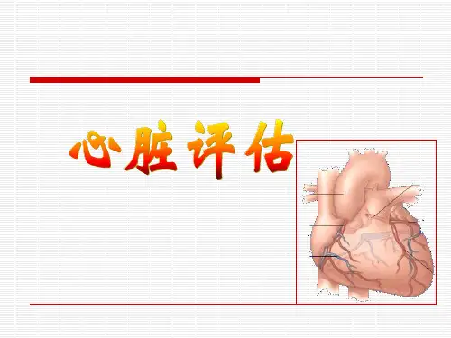 心脏评估