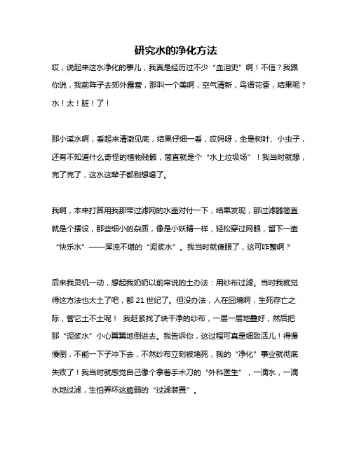 作文《研究水的净化方法》