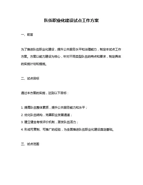 队伍职业化建设试点工作方案