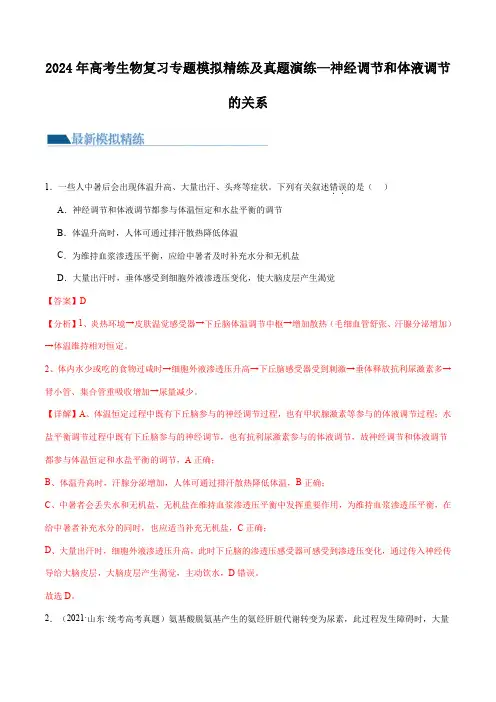 2024年高考生物复习专题模拟精练及真题演练—神经调节和体液调节的关系