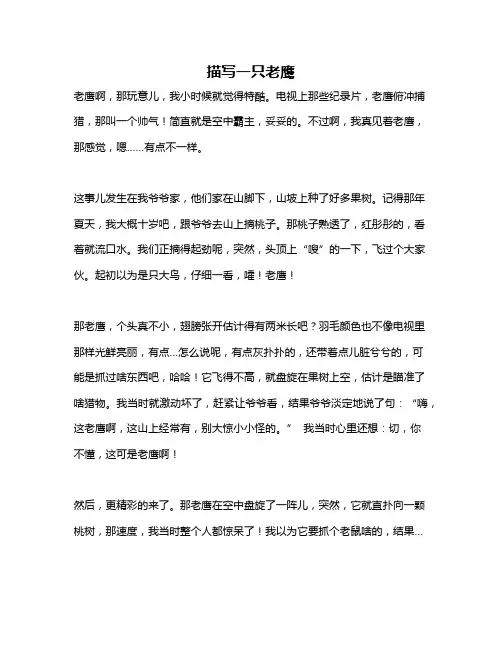 作文《描写一只老鹰》
