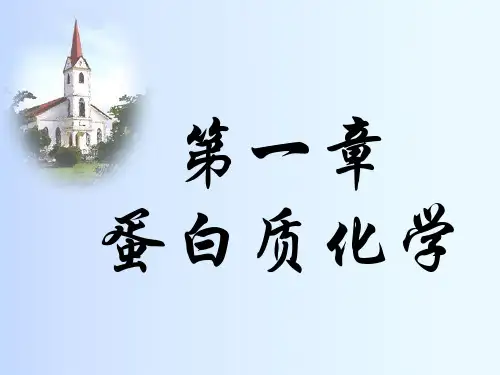 生物化学课件-蛋白质及其分离纯化