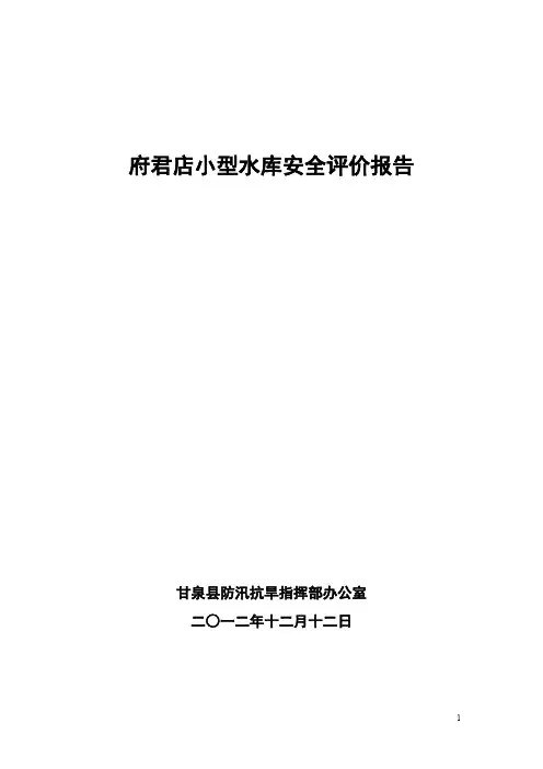 小型水库安全评价报告